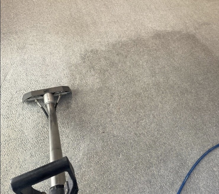 Commercial Carpet Cleaning