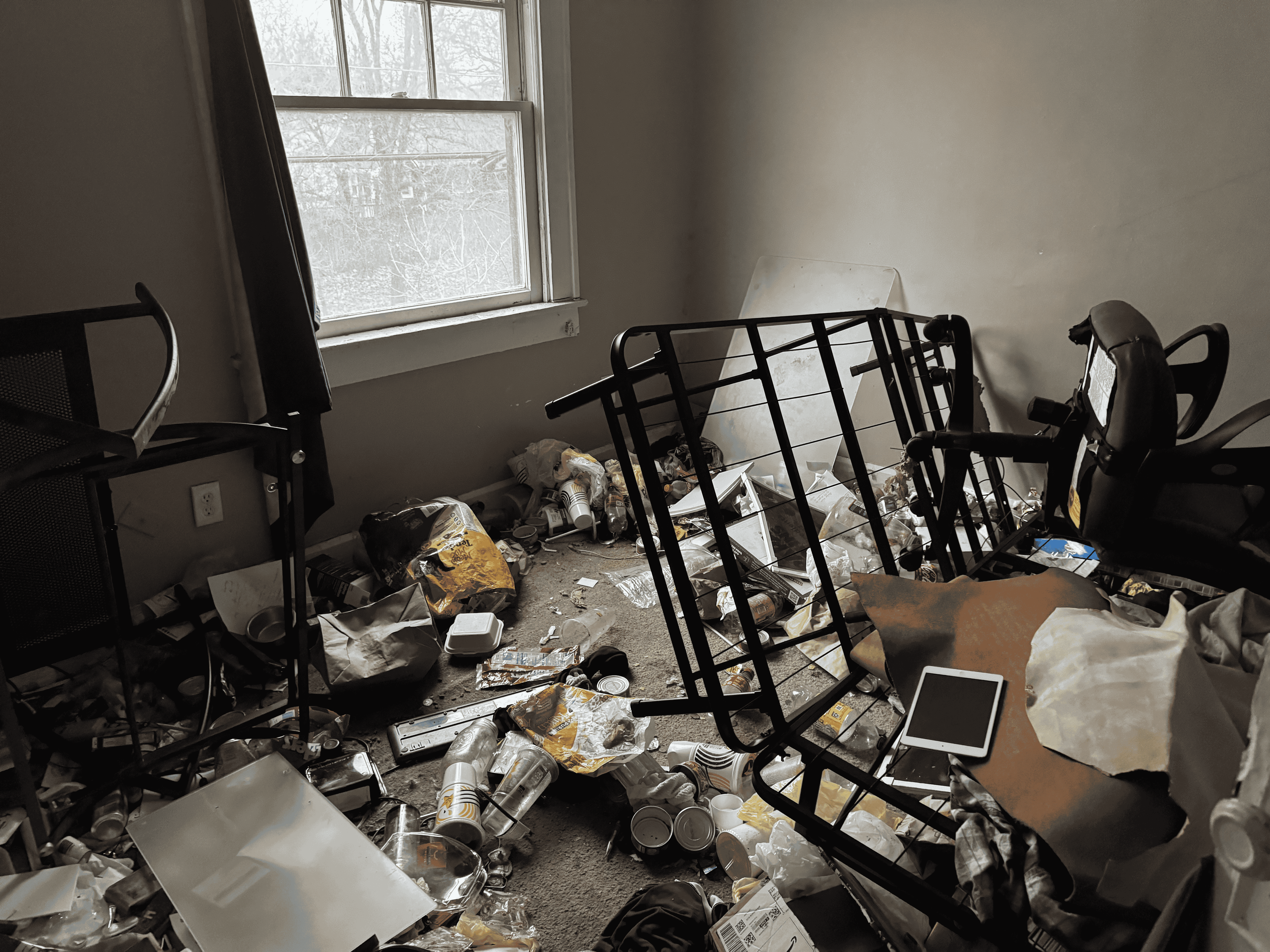 Hoarding Cleanup